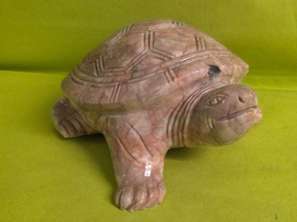 Sculture & Statue: Schildkröte aus Marmor 20cm – Nuovo (secondo la descrizione) da Roggliswil venduto da Mabelco