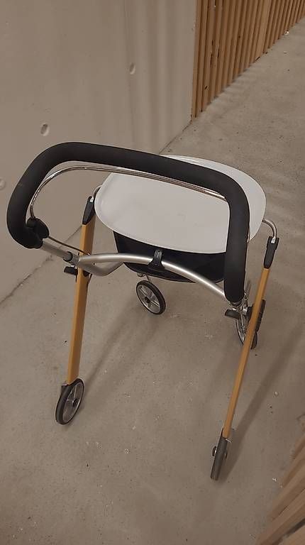 Ausili per la deambulazione: Rollator / Gehwagen mit Ablage – Usato da Baden venduto da grutschm 2