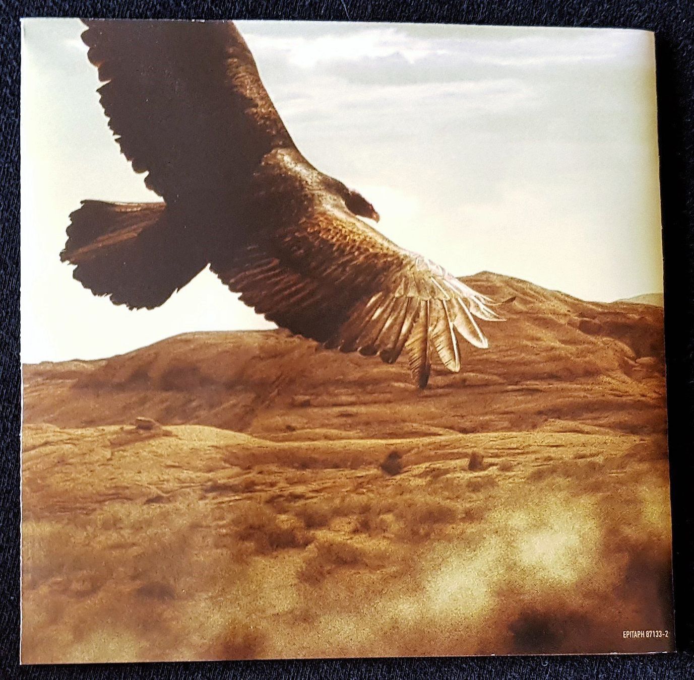 CD: Set Your Goals - Burning At Both Ends - 2011  US First Press – Usato da Uster venduto da Zardodel 4