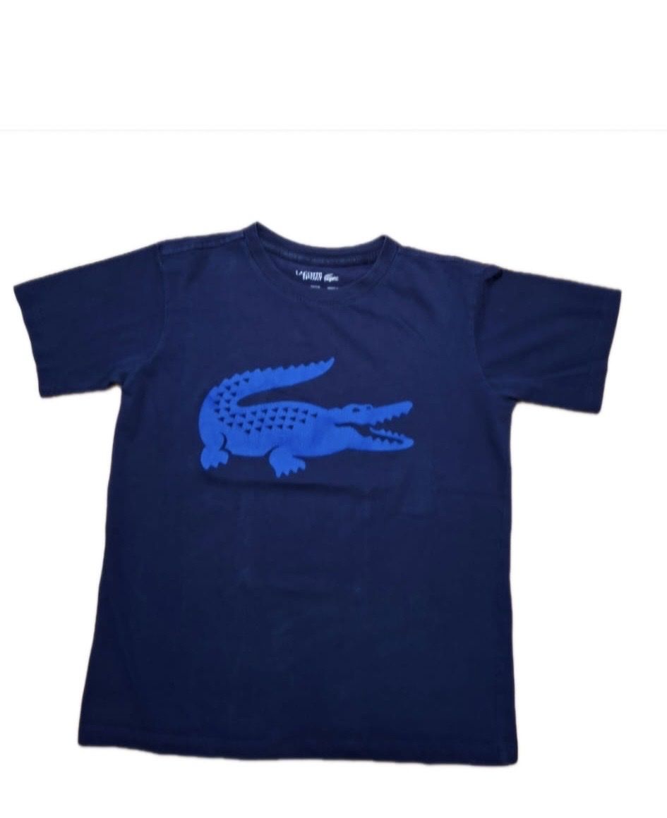 Lacoste T-shirt: Lacoste Sport T-Shirt – Usato da Wetzikon ZH venduto da eli_kg9j