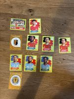 Panini 2026