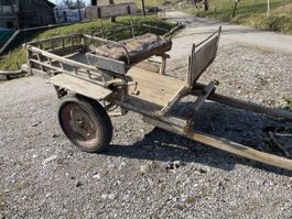 Antiker Pferdewagen