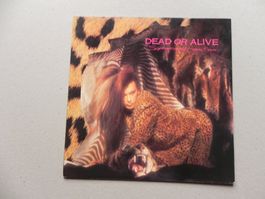 LP Engl. New Wave Dance Pop Band Dead or Alive 1984 Sophi..
