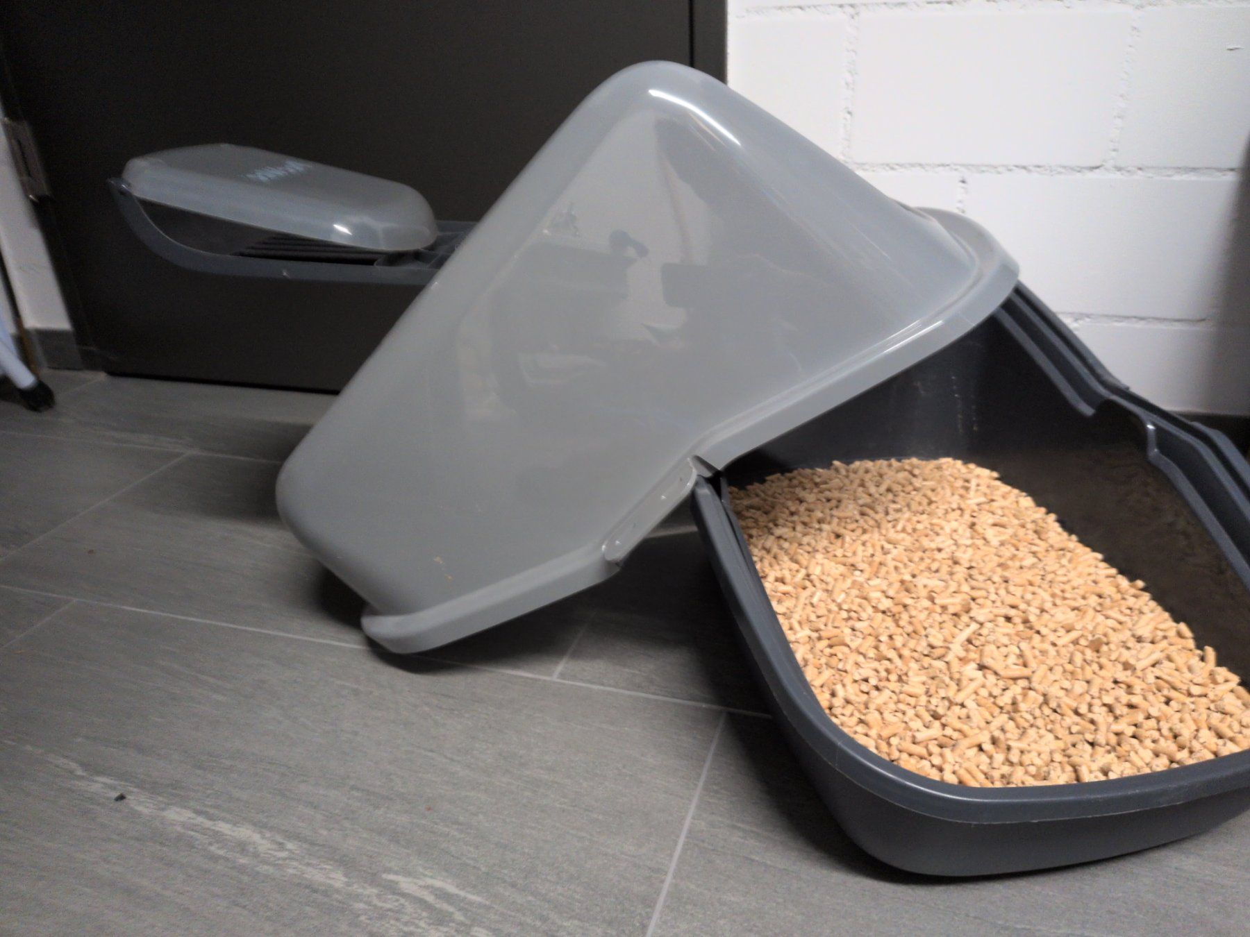 WC: Katzenklo PeeWee System mit Holzpellets – Gebraucht aus Schmerikon von Oxbow 2