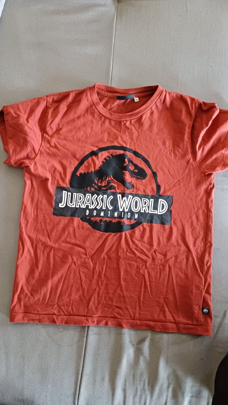 Hemden, T-Shirts & Polos: Jurassic World T-Shirt Gr.164 – Gebraucht aus Thun von Pokemonomania