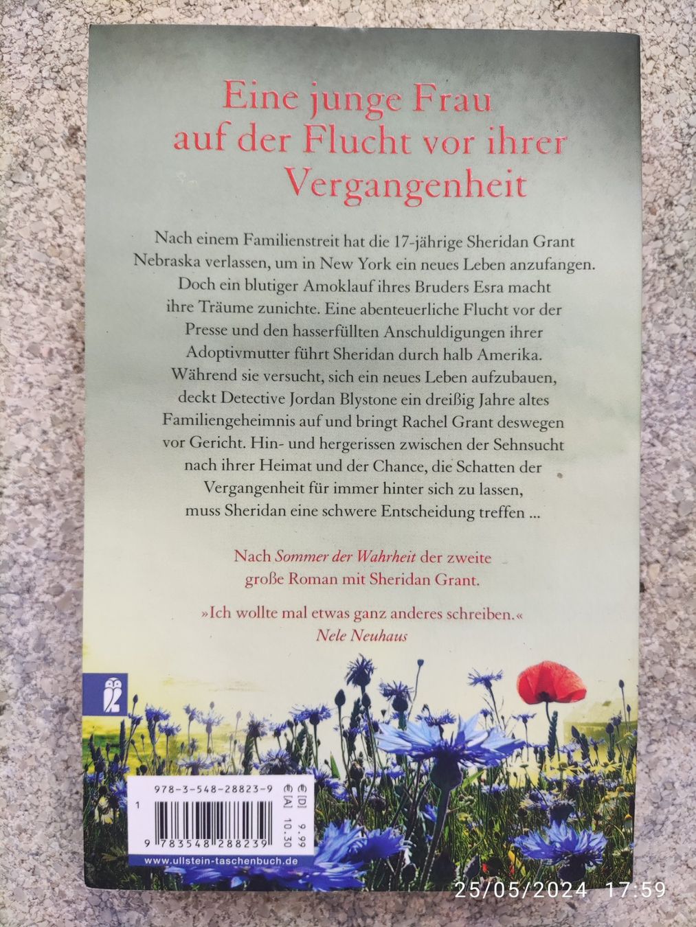 Libri: Nele Löwenberg Straße nach Nirgendwo – Usato da Basel venduto da Alacant 1