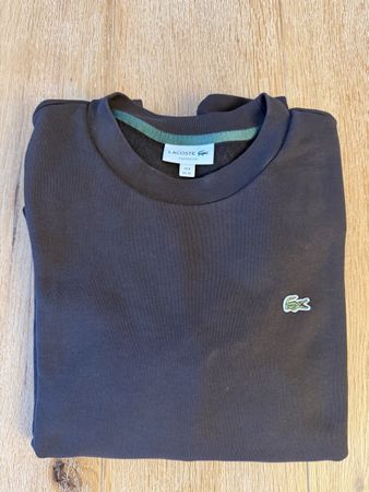 Lacoste Pullover 