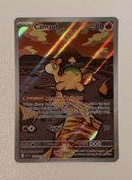 Camaub #223