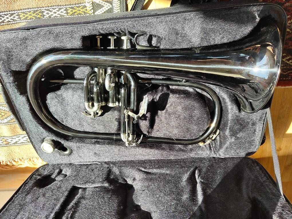 Thomann Strumenti musicali: Neuwertiges Flügelhorn – Nuovo (secondo la descrizione) da Binningen venduto da dar_vm8m 1