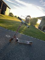 Micro Scooter rosa