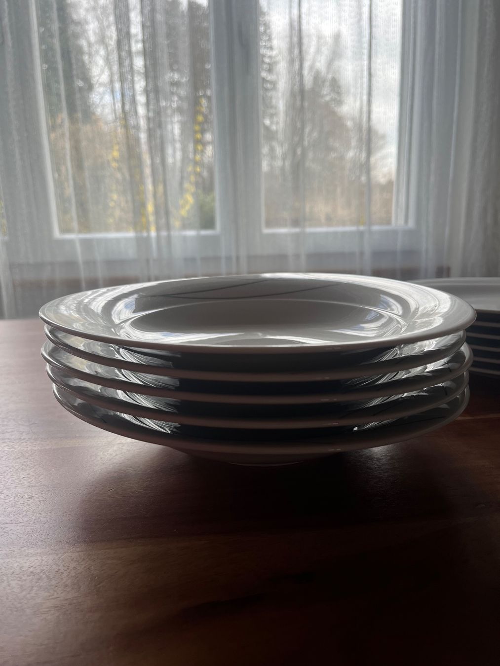 Seltmann Assiettes: Teller set – D'occasion à Wiler b.Utzenstorf par Homer.J.Simpson 4
