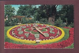 GENEVE - Horloge fleurie - 1963