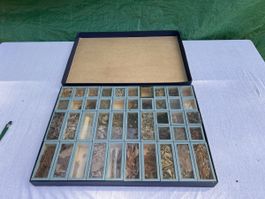 Drogeriesammlung ,Alte Kräutersammlung (117)