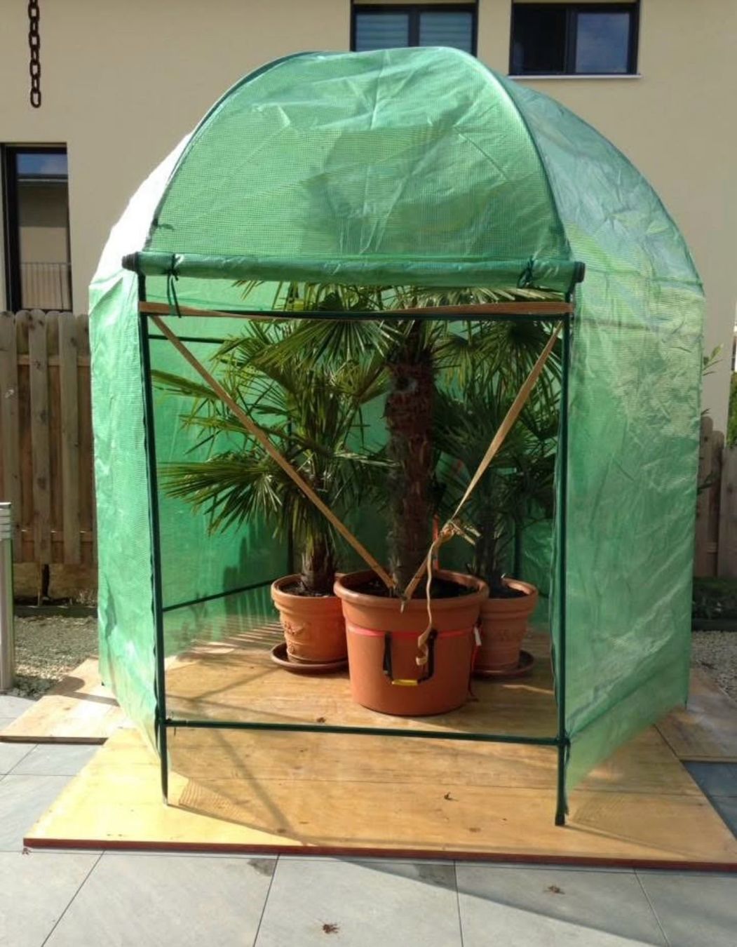 Tende & Padiglioni: Palmenpavillon gebraucht – Usato da Merishausen venduto da Calp44 1