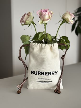 Burberry Mini Bag Canvas Leather Drawstring Pouch White New