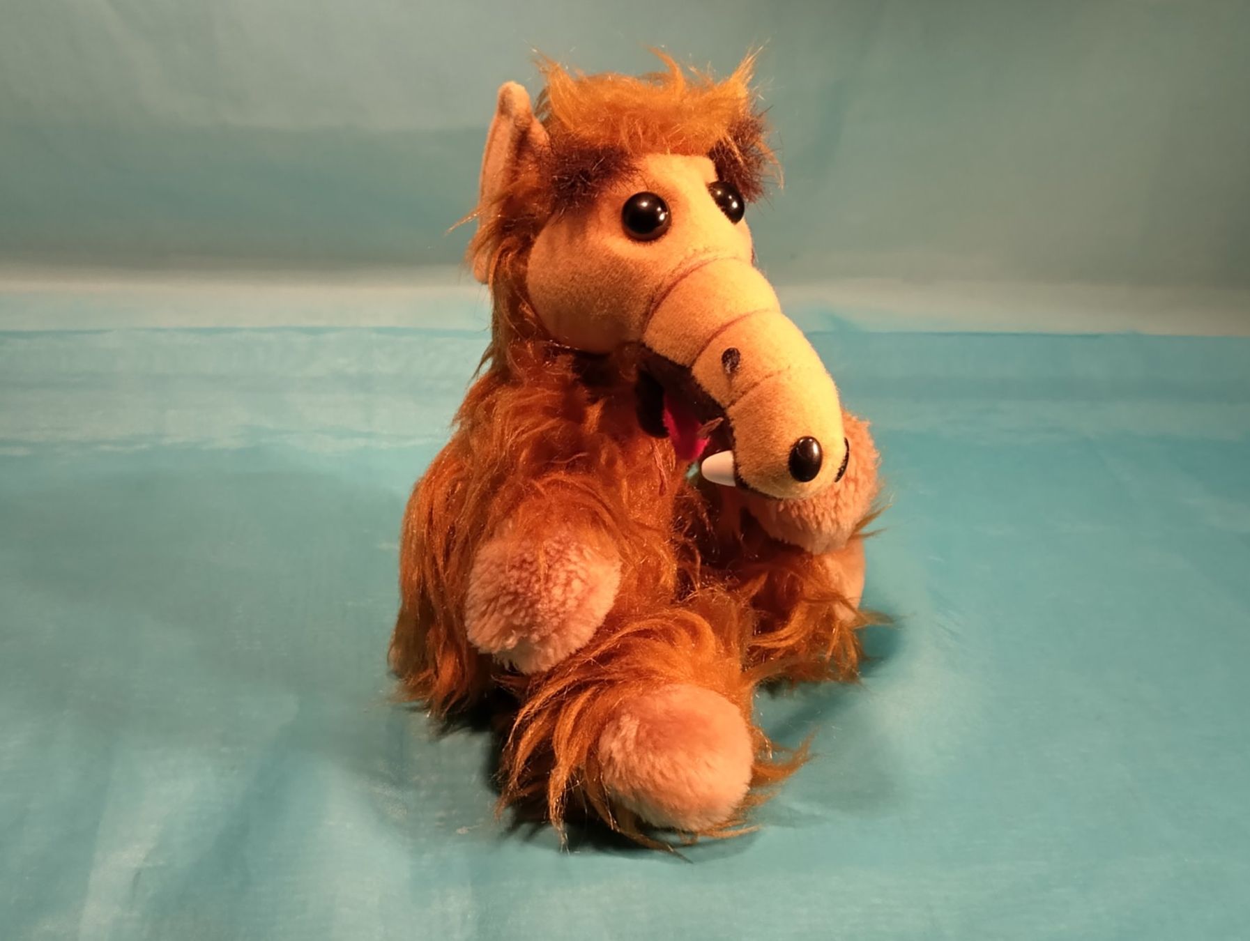 Giocattoli: ALF, Plüsch, L: 22cm – Usato da Bellach venduto da JingleCherry