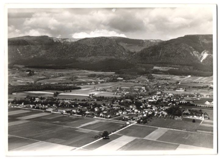 Fotografie & Manifesti: Fotografie Selzach bei Solothurn, Fliege – Usato da Berlin venduto da bartko-reher