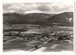 Fotografie Selzach bei Solothurn, Fliege
