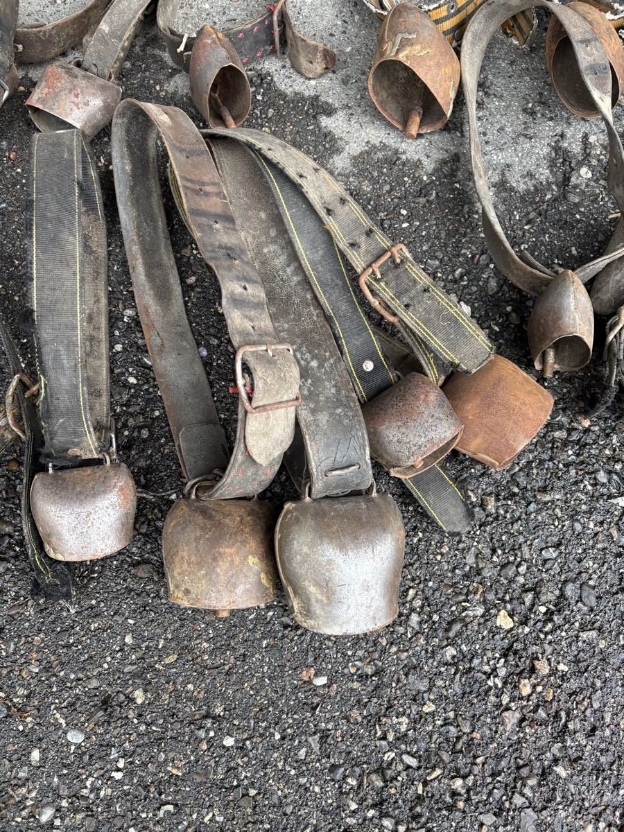 Campanacci mucche: 20 Stk Rindertreicheli – Difettoso da Schangnau venduto da Roseggli82 2