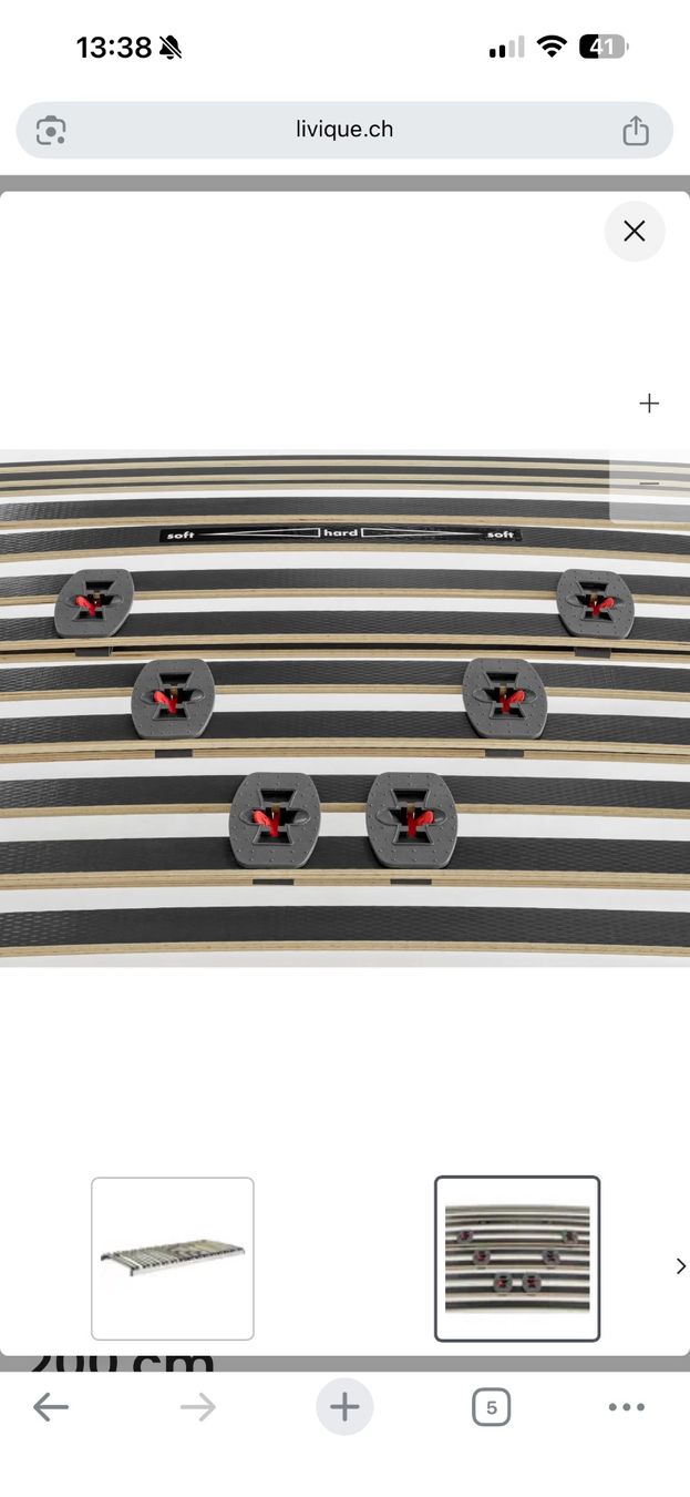 Reti a doghe: Neuer Lattenrost 100x220 – Nuovo (secondo la descrizione) da Forst venduto da oktopus75 1