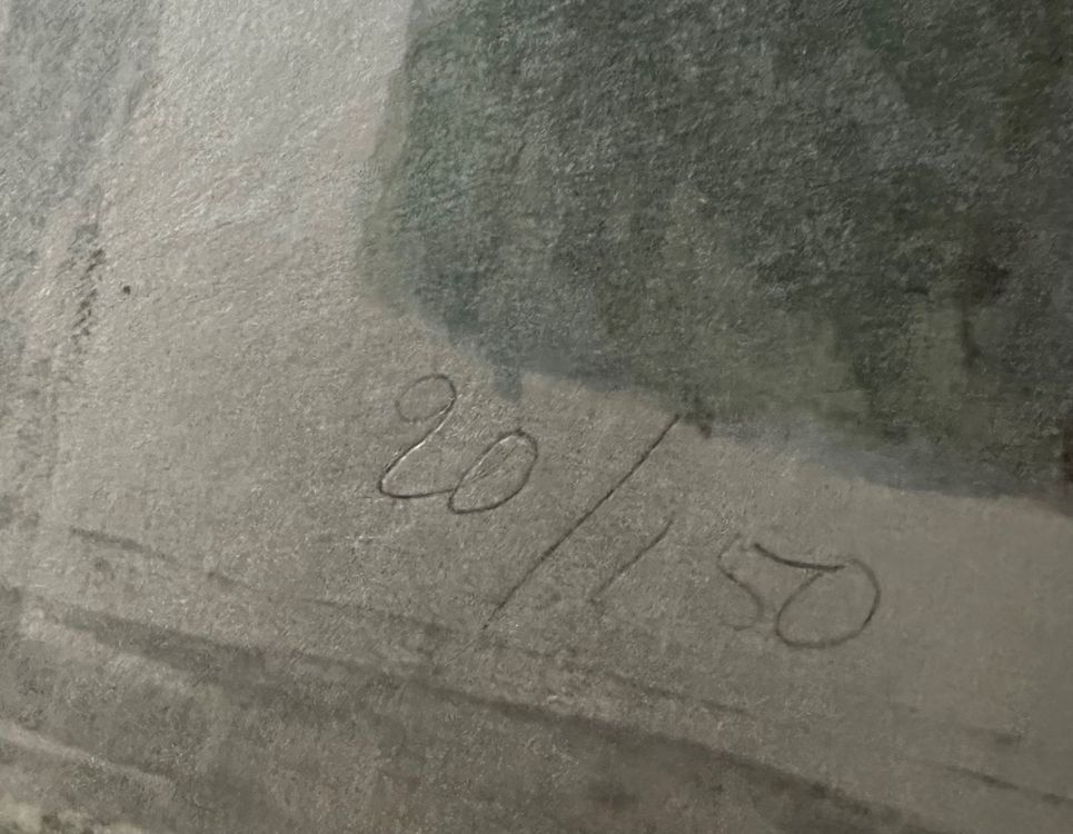Grafica & Litografie: Irma Bamert (1925) Lithographie handsigniert nummeriert – Usato da Gersau venduto da grafik-kunst 2