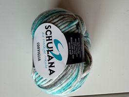 10 Knäuel Corviglia Schulana