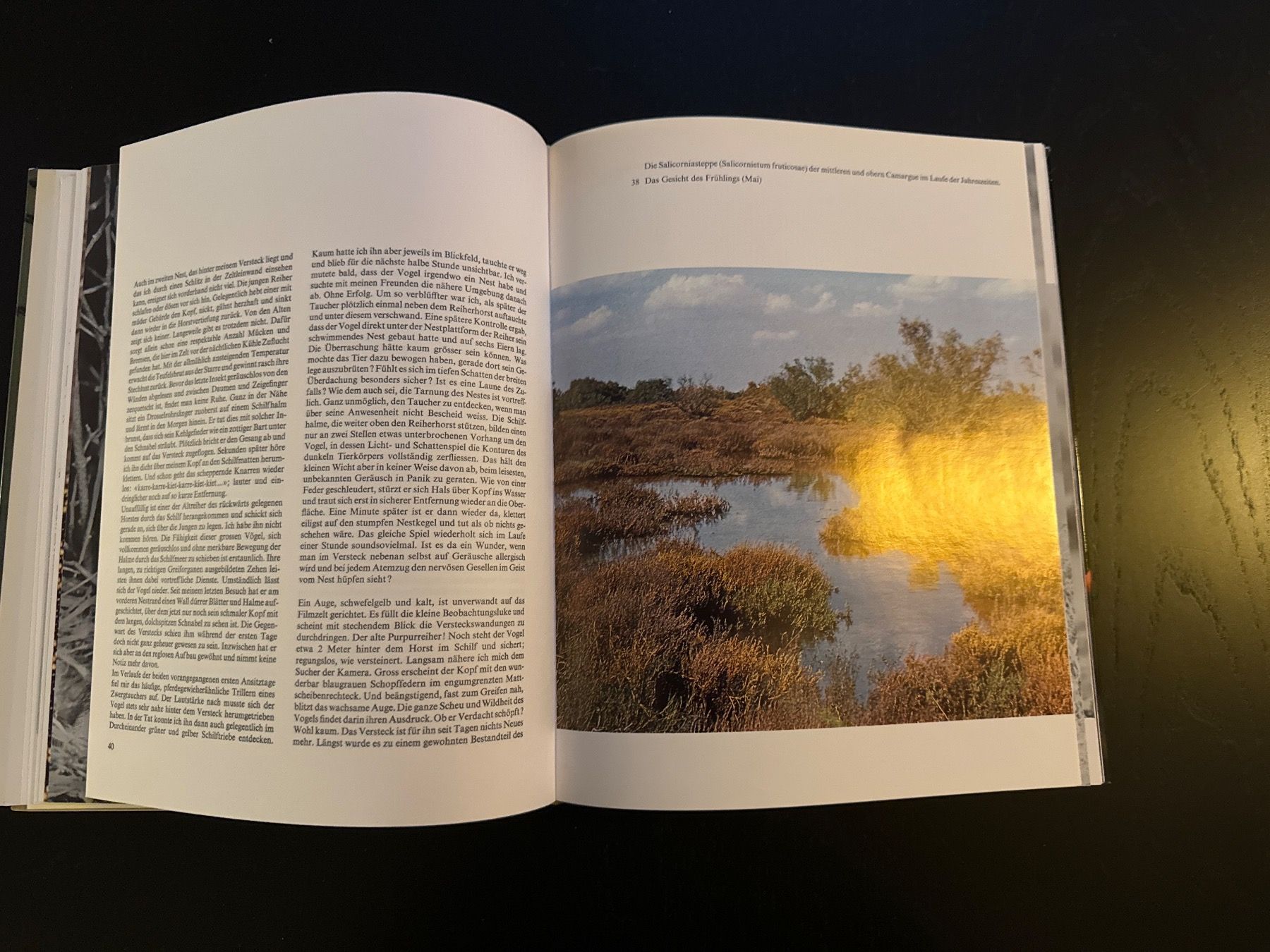 Libri: Camargue – Usato da Erstfeld venduto da Mario_boe0 2