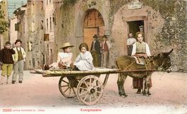 Chiarano (Italia - Treviso) -  Eselgespann