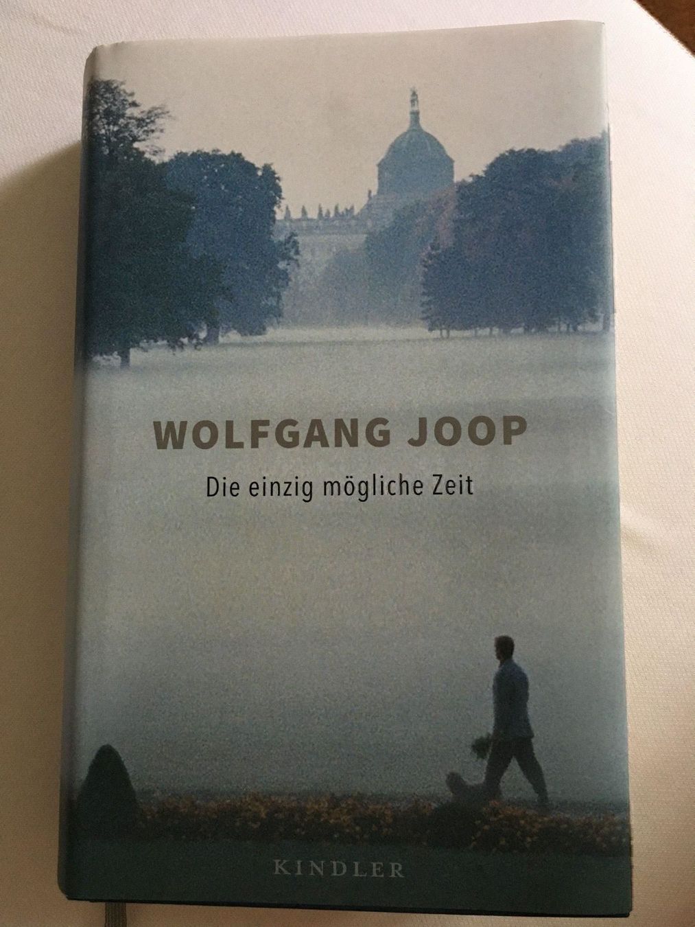 Libri: Wolfgang Joop Biographie – Nuovo (secondo la descrizione) da Siebnen venduto da Starlauf