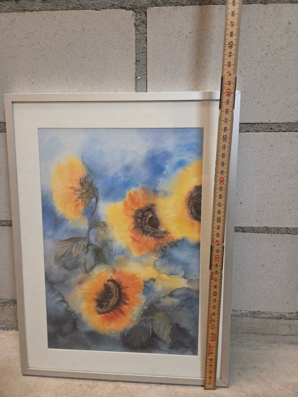 Foto & Immagini: Bild: Sonnenblumen – Usato da St. Gallen venduto da Razoon77 2