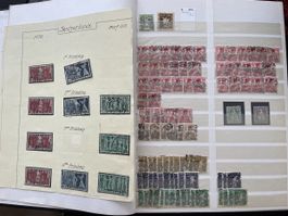Top Sammlung Schweiz sehr hoch kat wert Album