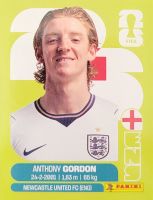 Panini FIFA World Cup ENG 15
