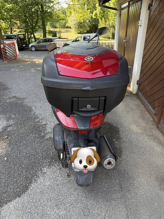 Yamaha Scooters: YAMAHA XMAX 250 – D'occasion à Onex par Ced196 2