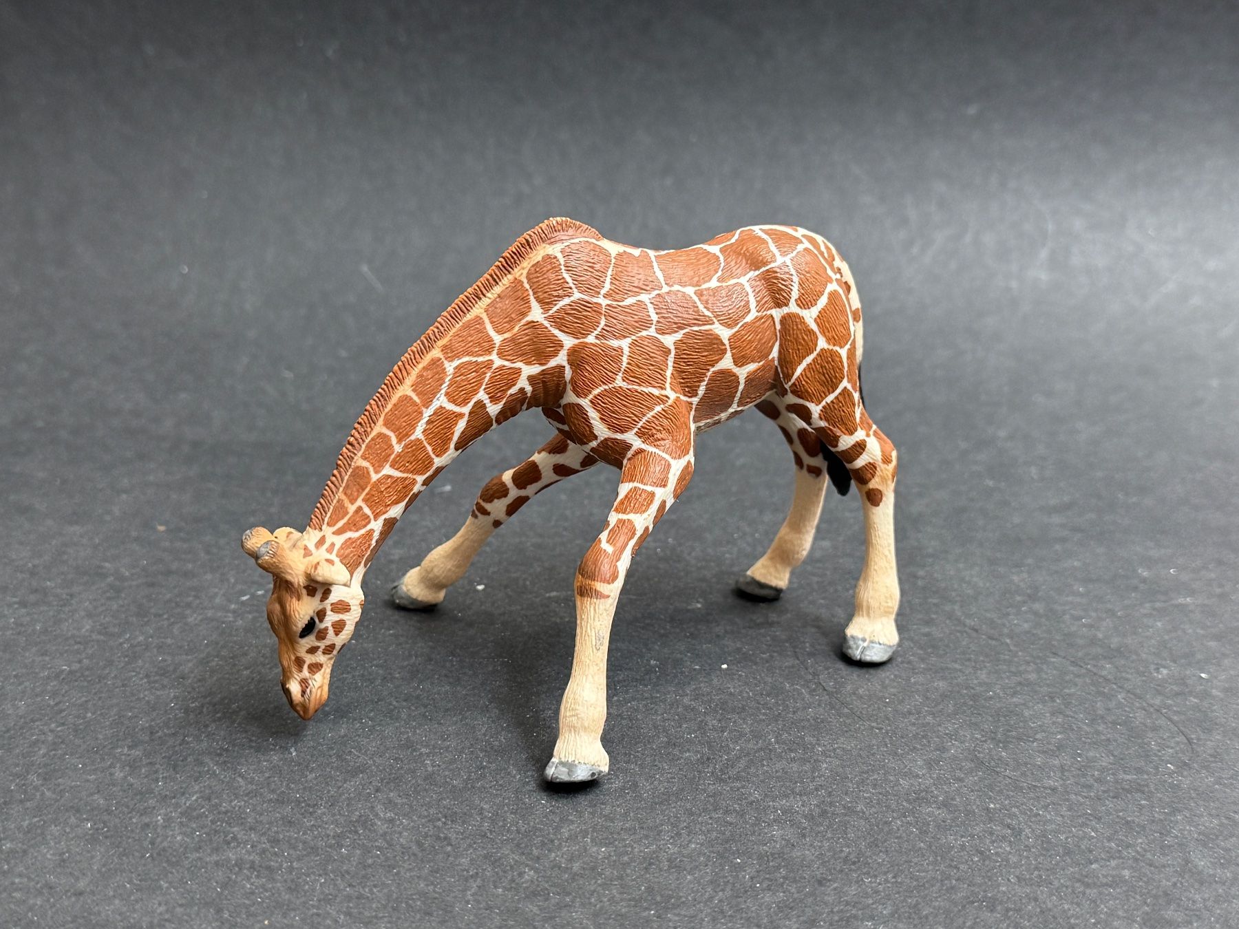 Schleich Statuette: 5 Schleich Giraffen Giraffe Tiere – Usato da Ennetbaden venduto da mapa05 3