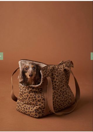 Sac de portage pour chien 