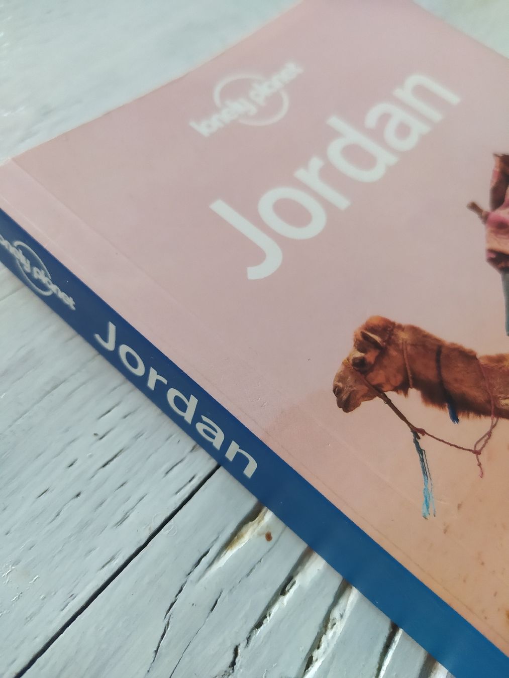 Libri: Lonely Planet Jordan – Usato da Luzern venduto da Nfan 1