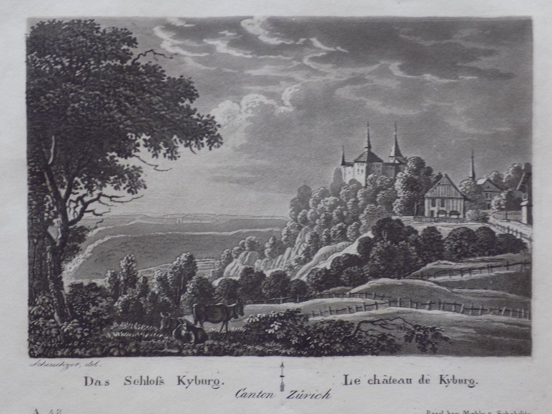 Incisioni: Schloss Kyburg – Usato da Risch venduto da Rischli15 1