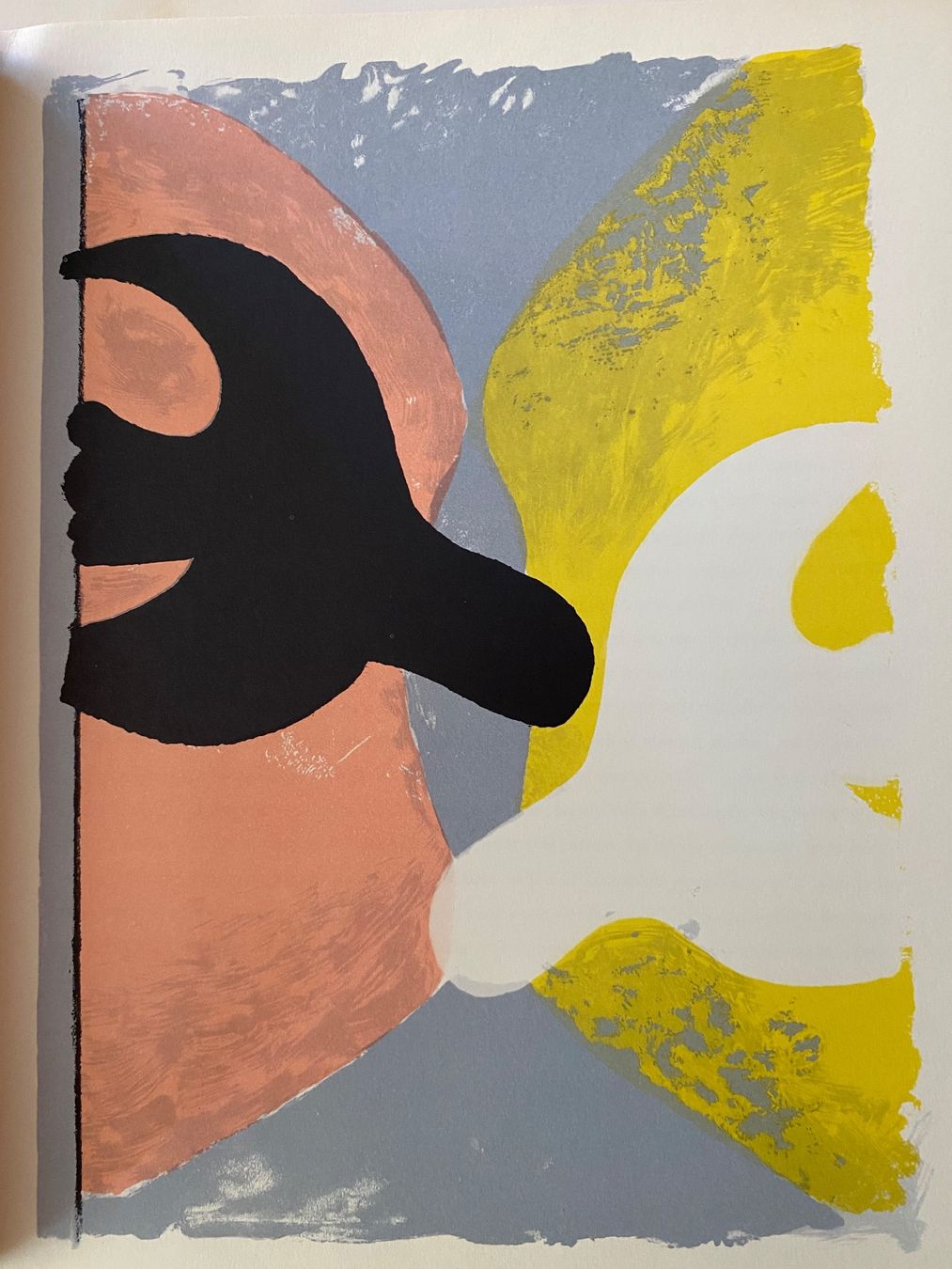 Libri: Georges Braque: L'oeuvre graphique de Georges Braque – Usato da Basel venduto da ota_2f9m 2