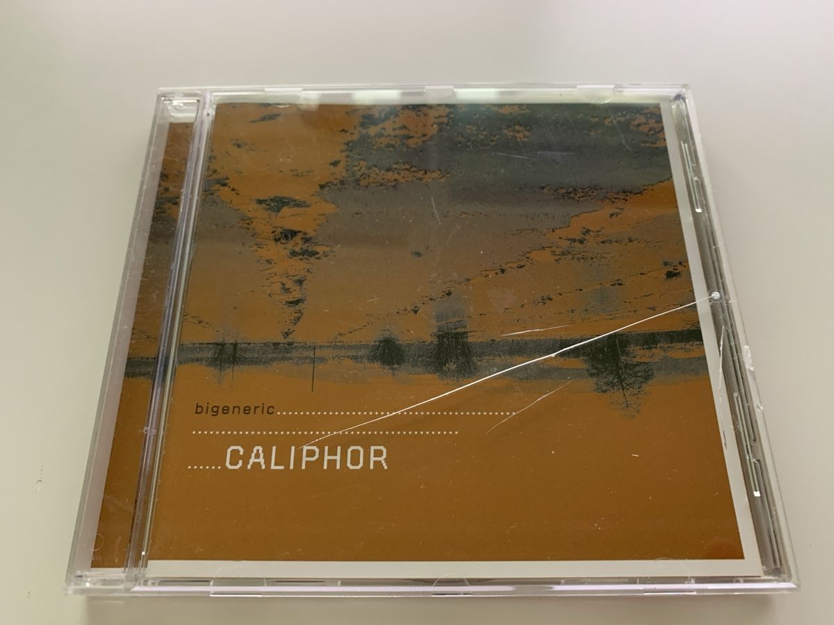 CD: Caliphor - 2004 Bigeneric (CD Leftfield Electro Techno) – Usato da Fraubrunnen venduto da Hypernova