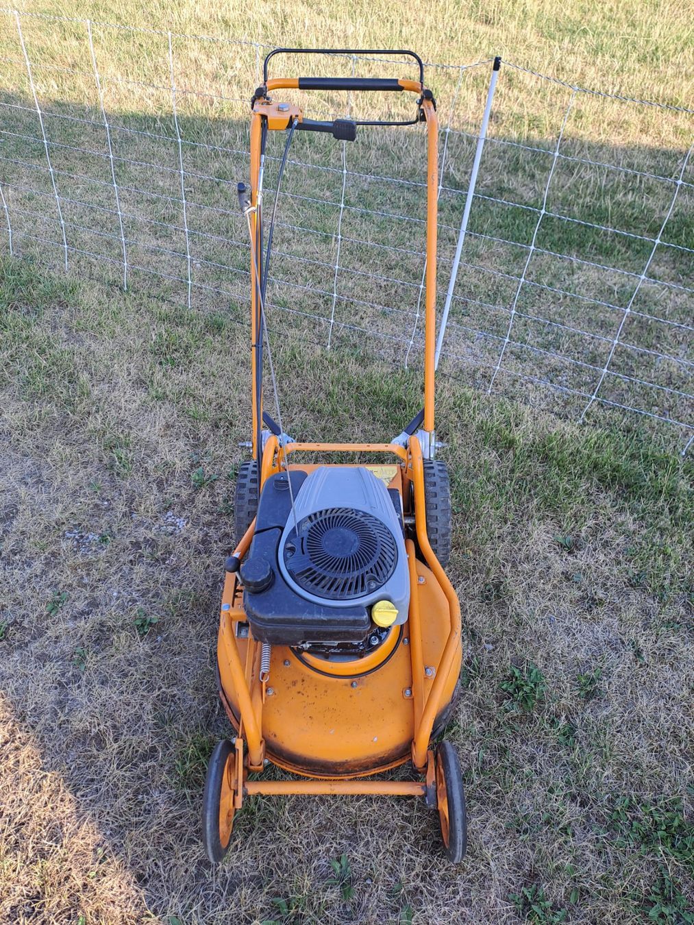 Tagliaerba: AS Motor Mulch Rasenmäher – Usato da Gossau SG venduto da Iki003 2
