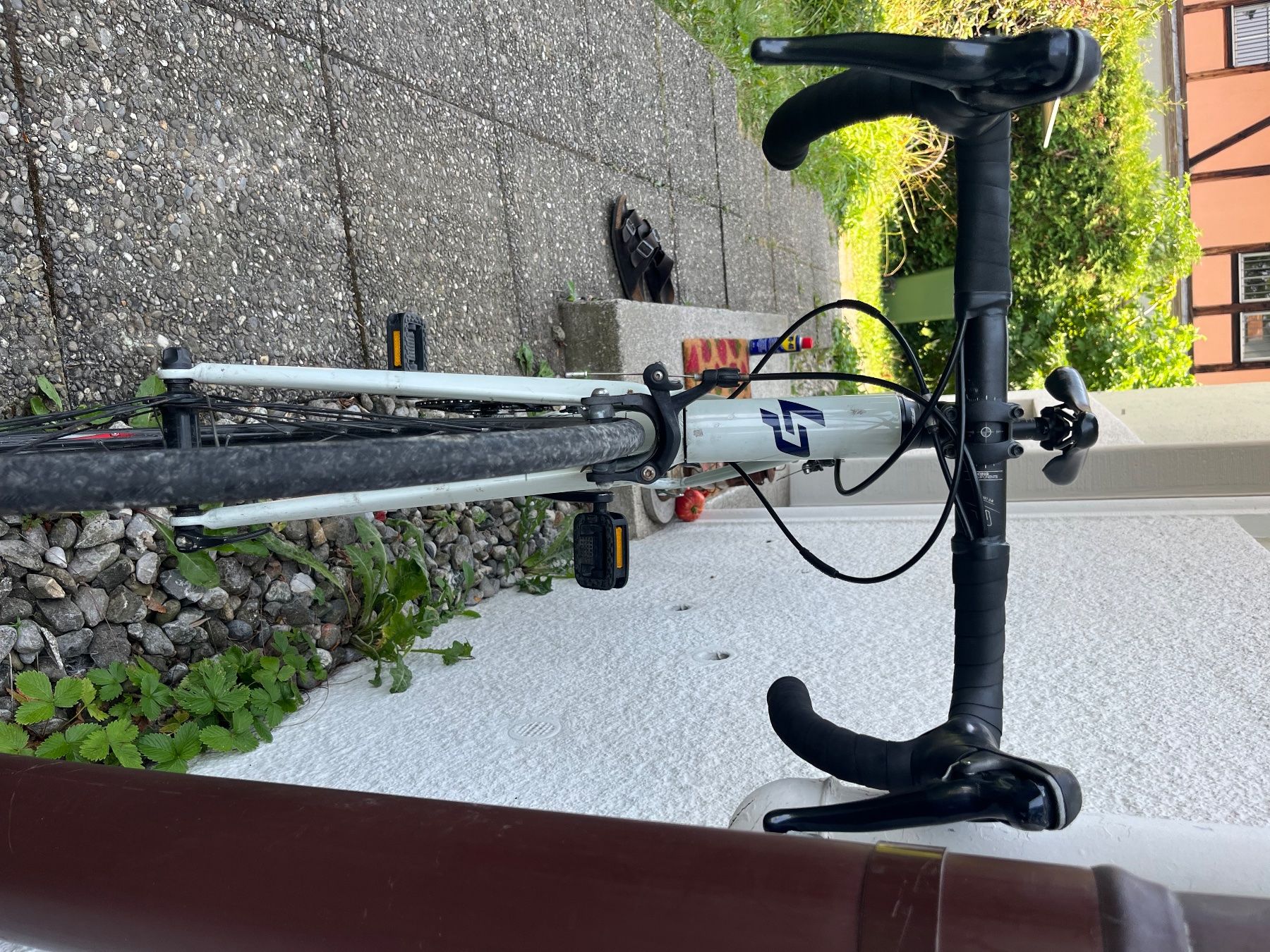 Lapierre Biciclette: Damenrennrad – Usato da Kriens venduto da Hortulus_ 2
