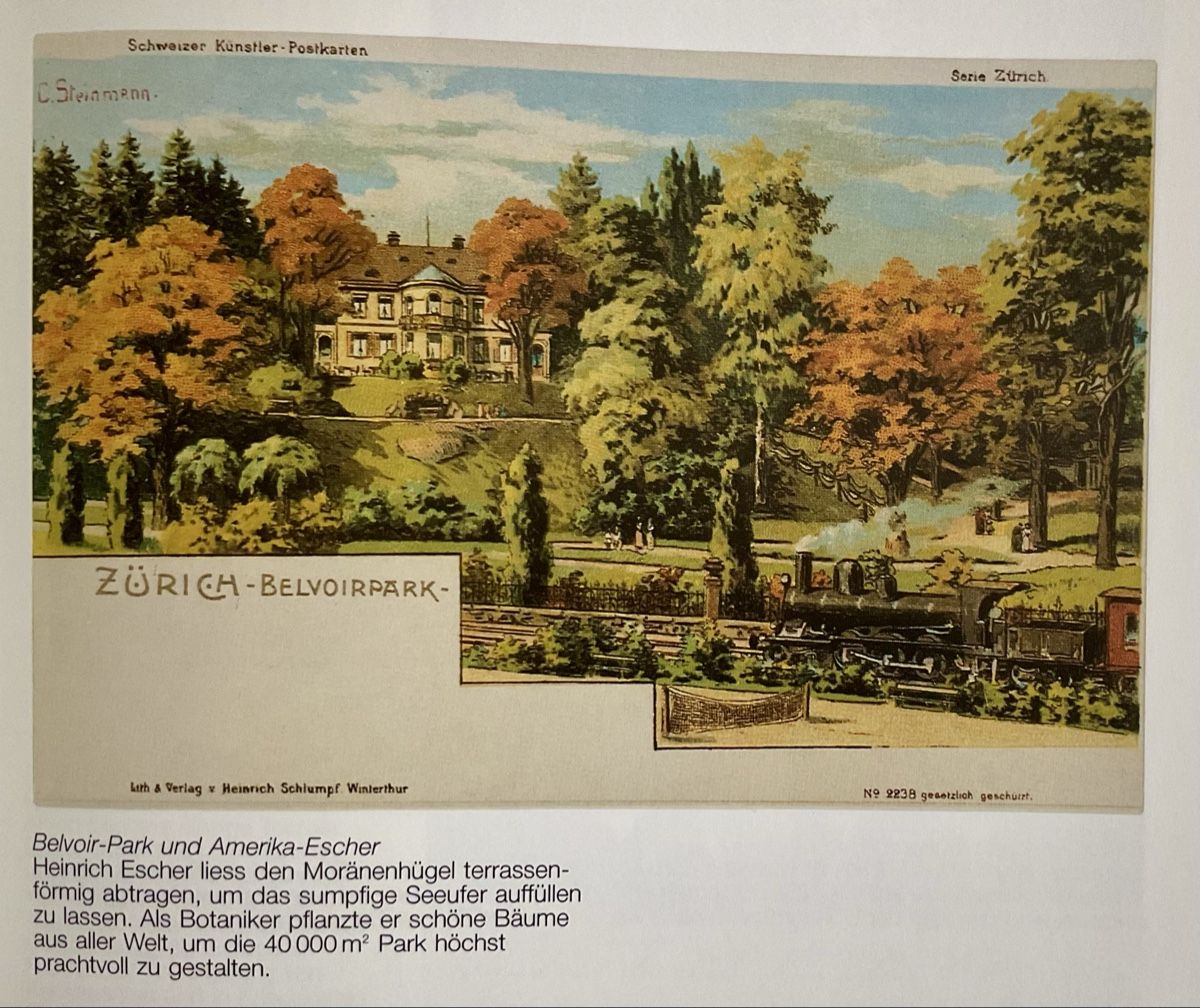 Libri: Zürich-Enge/Leimbach in alten Ansichtskarten – Nuovo e nell'imballaggio originale da Zürich venduto da Wolo 5