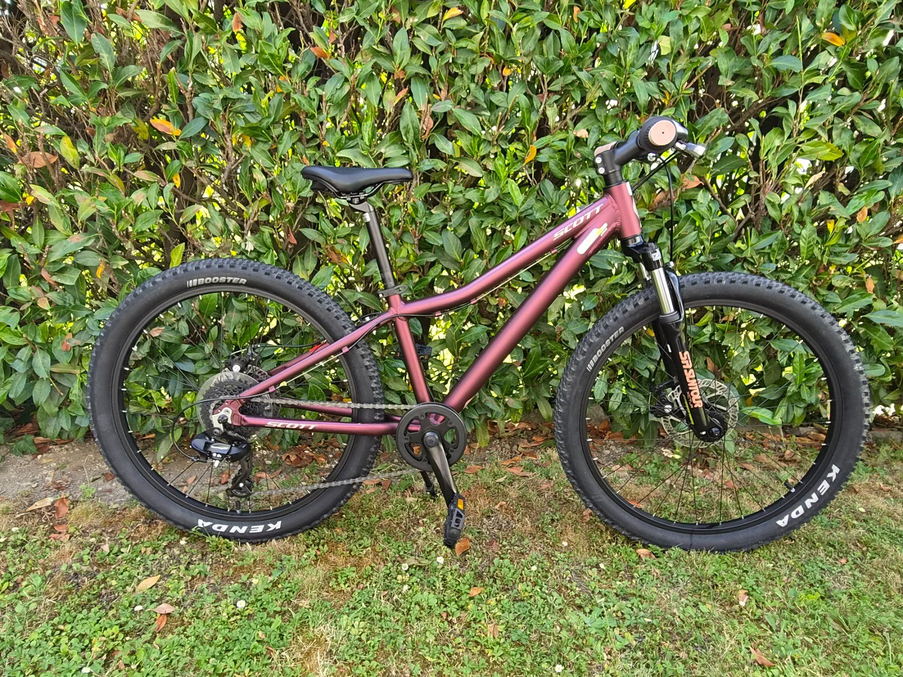 Scott Biciclette: Scott Contessa 24 - violett – Usato da Amriswil venduto da Sapafi 1