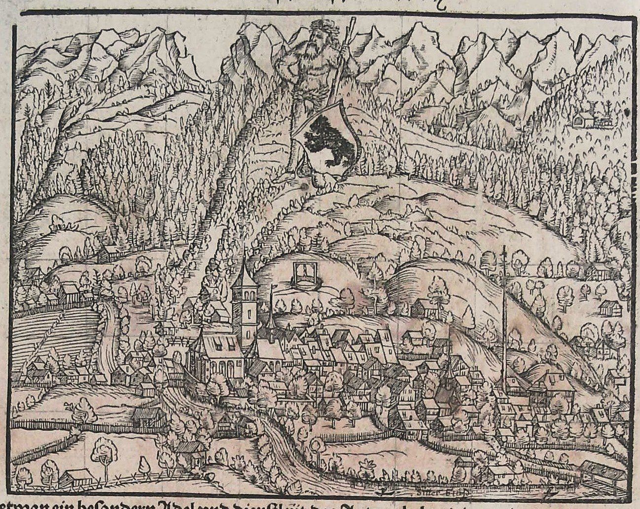 Incisioni: Appenzell Holzschnitt von Stumpf 1548 – Usato da Rafz venduto da Helvet32