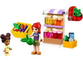 Lego friends 30416