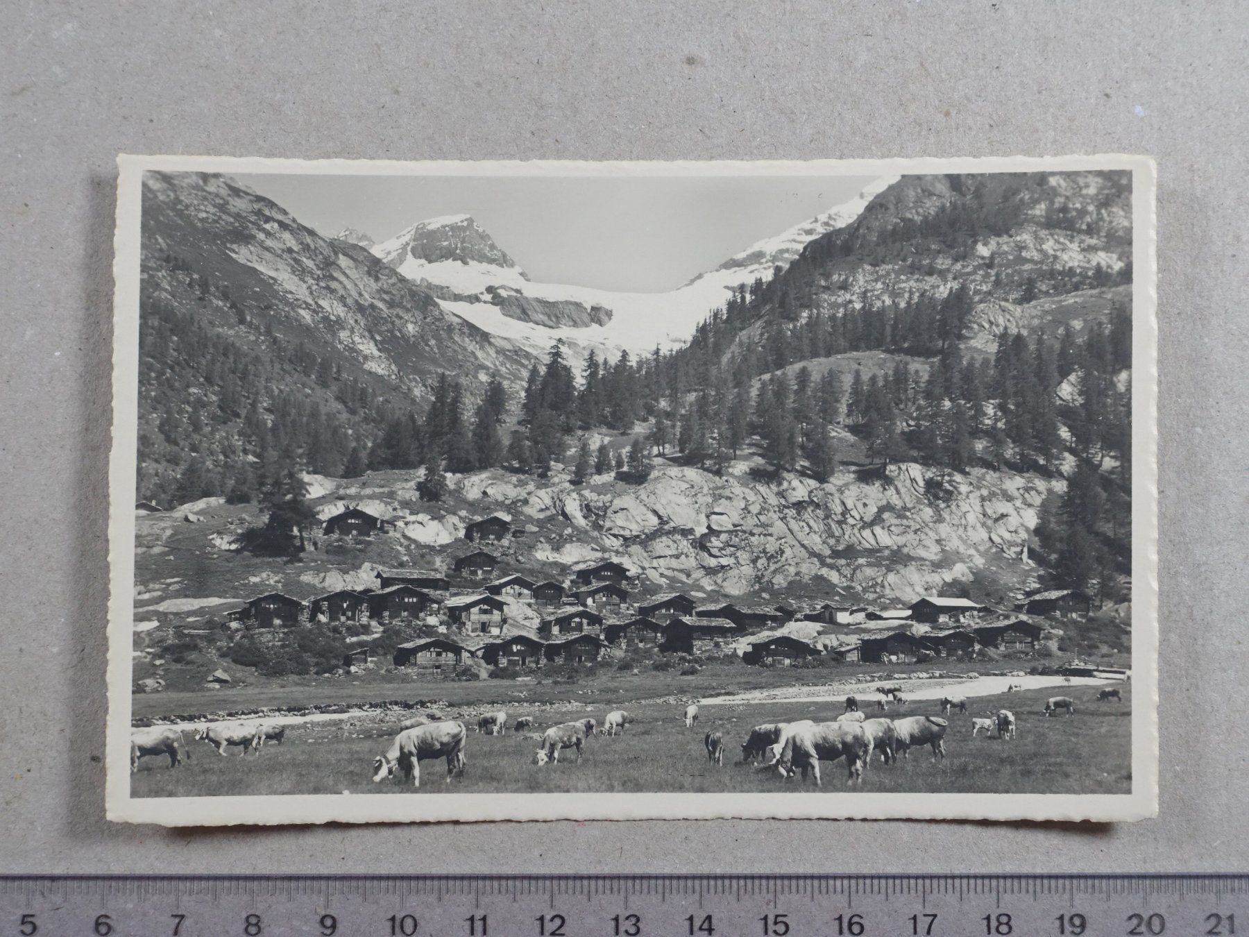 Cartoline postali: Lötschental, Gletscherstafel, Kühe – Usato da Lenzburg venduto da fh1