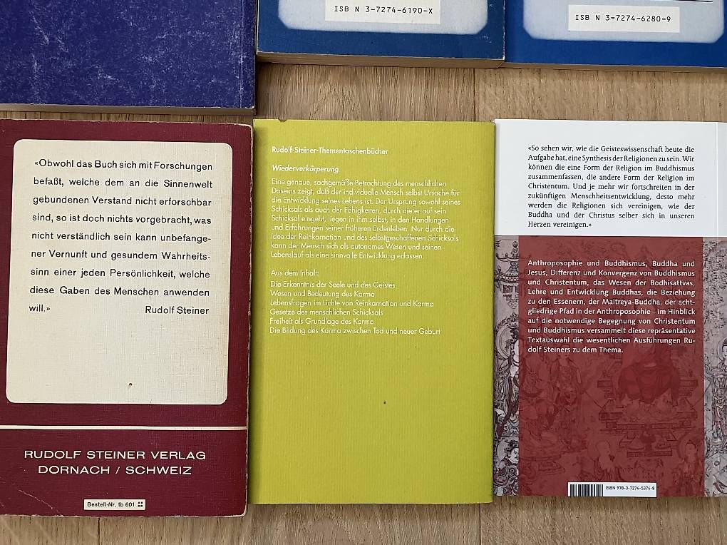 Libri: 6 Bücher von Rudolf Steiner – Usato da Arnegg venduto da Redandblue2011 2