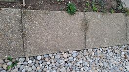 Betongartenplatten