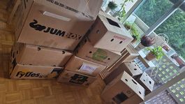 Umzugsschachteln 15 Stk.