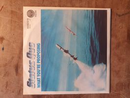 Maxi Single Status Quo What You're Proposing